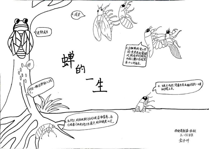 西安教育培训行业动态：从传统走向智慧